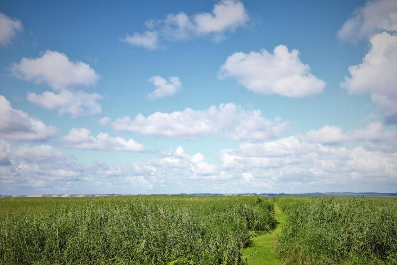 Stovyklaviete Pauksciu Takas Villa Svencele Buitenkant foto